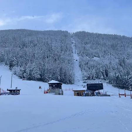 La Norma Nid Cosy Les Campanules * Villarodin-Bourget